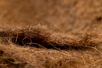 made from coconut shavings glued together part of an old used mattress, side view