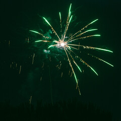 Fireworks in the night sky