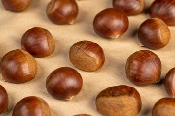 preparation by cutting the shells of edible chestnut nuts for baking, close up