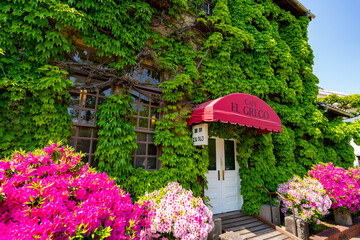 Fototapete bei efototapeten.de bestellen   