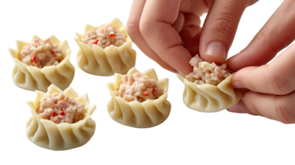 Crafting Culinary Delights: A pair of hands meticulously folds and shapes delicious dumplings, ready to be cooked, showcasing the art of culinary preparation and the joy of home cooking.