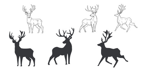 Deer hand drawn black white outline vector set illustration. Woodland animals reindeer with antlers monochrome sketch for winter and Christmas designs. Wild doe stag silhouette for seasonal cards.