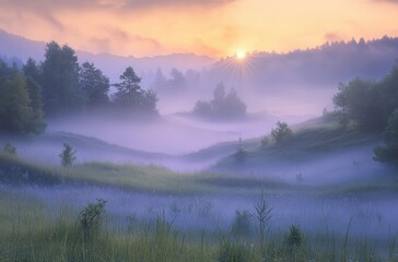 Fototapeta premium Morning dew on grass during foggy sunrise