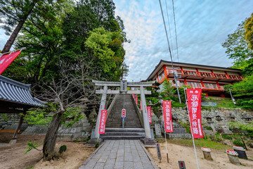 2025年 5月 岡山由加山の風景