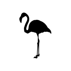 vector illustration of a flamingo