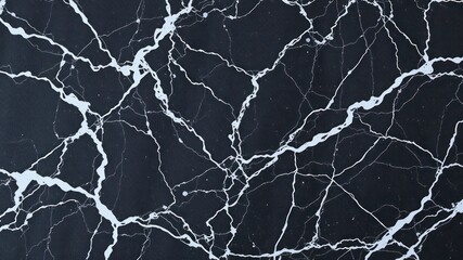 Abstract Dark Surface with White Veining and Speckles