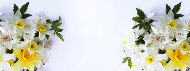 A spring bouquet with yellow daffodils on a white background with a place for text. Background for...