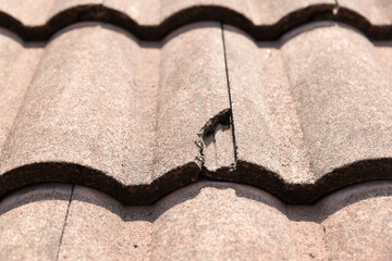 Damaged old roof tile in need of repair. © toa555