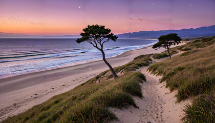 Le coucher de soleil sur la plage