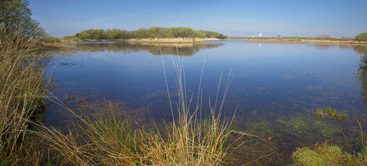 Croft Pascoe Pool, panorama, a natural pond on the Lizard Peninsula, Cornwall, UK