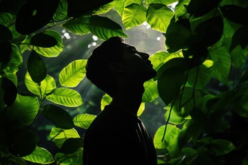 Silhouette of man surrounded by green foliage