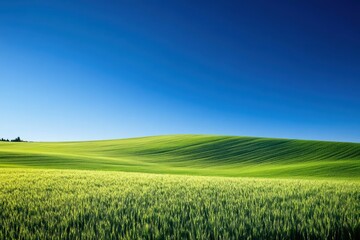 Fototapeta premium Smart irrigation system waters green field under blue sky