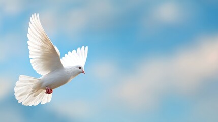Fototapeta premium White dove soaring against a serene blue sky with soft clouds in the background, symbolizing peace