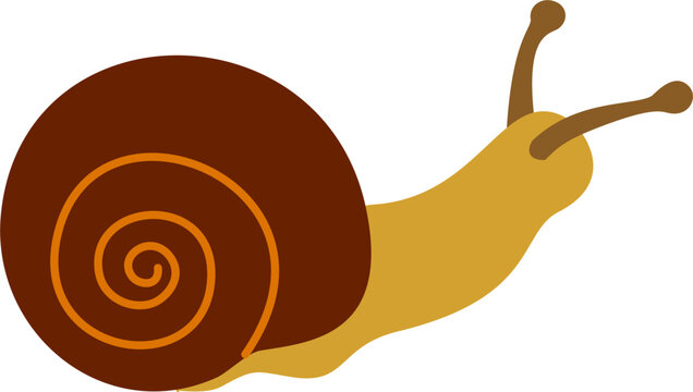 snail cartoon doodle 