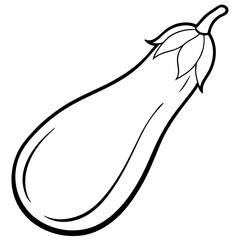 Eggplant out line vector