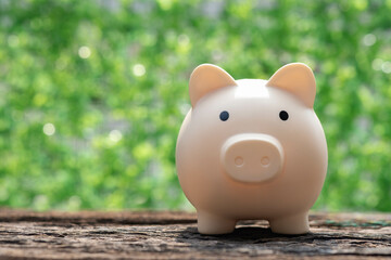 A cute piggy bank stands on a wooden surface against a blurred green background, symbolizing savings and financial growth.
