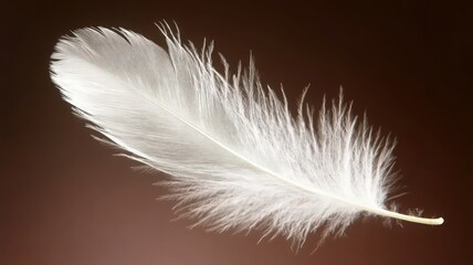 Obraz premium Single White Feather Floating Against Soft Brown Blurred Background