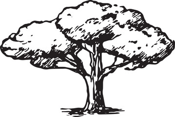 A black-and-white sketch of a broadleaf tree, perfect for nature, garden, and botanical illustration projects