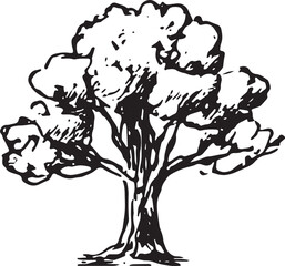 A black-and-white sketch of a broadleaf tree, perfect for nature, garden, and botanical illustration projects