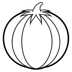 Tomatillo out line vector