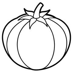 Tomatillo out line vector