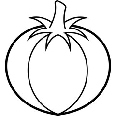 Tomatillo out line vector