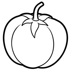 Tomatillo out line vector