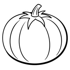 Tomatillo out line vector