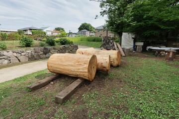 丸太のある風景