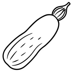 Daikon out line vector 