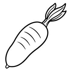 Daikon out line vector 