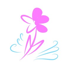 Pink flower on white background 