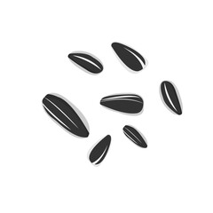 vector collection of sunflower seeds that have been roasted and ready to eat