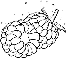 Single Raspberry Illustration On Transparent Background