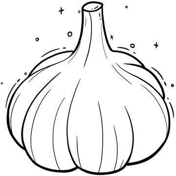 garlic bulb hand drawn line art doodle