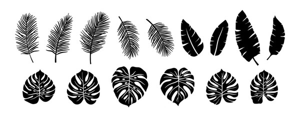 Vector black tropical leaves set, herbal element. Collection of simple palm and monstera leaves. Isolated sign, symbol and silhouette. Summer tropical botanical vector philodendron leaf, banana leaf. © LENNAMATS