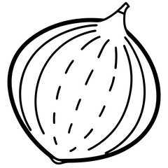 Minimalist Jicama Line Art Vector