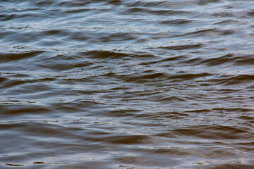 Background of Dnieper River water surface with ripples. River water in autumn in the rays of the...
