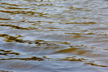 Background of Dnieper River water surface with ripples. River water in autumn in the rays of the setting sun. Water with small waves.