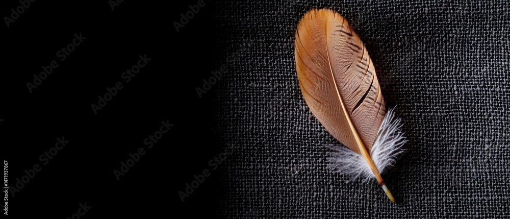 Aufkleber close-up of a feather on a black textured background. the feather is in the center of the image and 