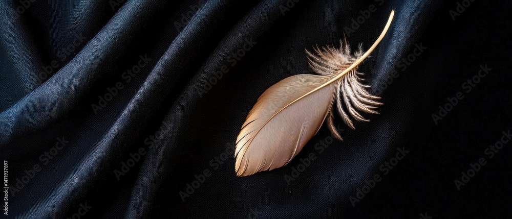 Poster close-up of a single feather resting on a dark blue fabric. the feather is light brown in color and 