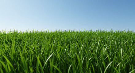 Fototapeta premium Lush Green Grass: A Serene Landscape Under a Bright Blue Sky - Nature, Outdoors, Fresh, and Peaceful.