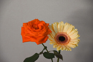 薔薇とガーベラ