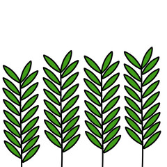 vector set of green leaves