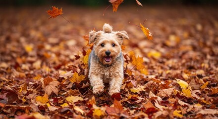 Dog running in autumn leaves playful canine amidst fall foliage seasonal pet