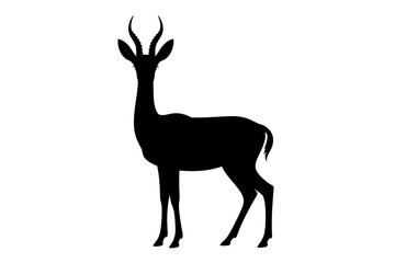 Obraz premium Standing gazelle silhouette antelope wildlife art