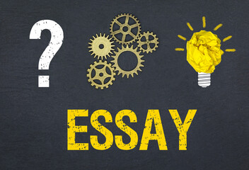 Essay	
