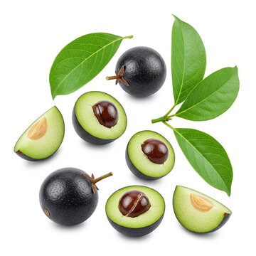 Fresh Grewia asiatica (falsa) berries with leaves floating in the air, full HD image isolated on a white background,set of fresh green olives