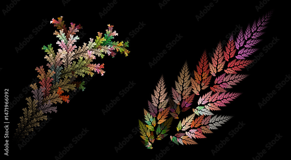 Poster set of abstract colorful branches with leaves of coniferous and deciduous trees on a black backgroun
