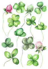 Watercolor clover set